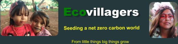 Seeding a net zero carbon world From little things big things grow